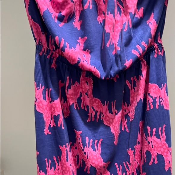 Lilly Pulitzer Vibrant Pink and Navy Dress - Picture 4 of 6